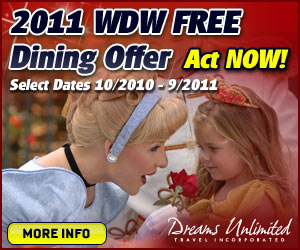 disney world vacations