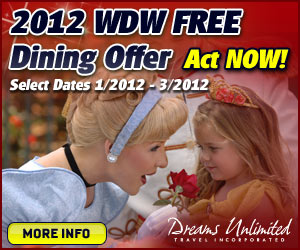 Dreams Unlimited Walt Disney World, Disneyland and Disney Cruise Line Bookings